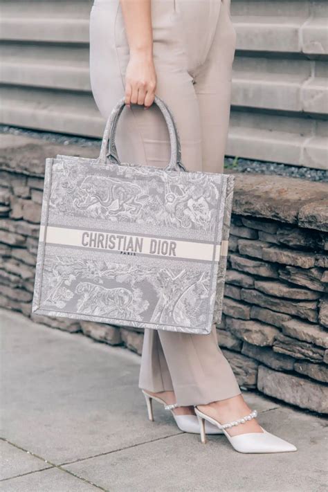 h&m dior book tote dupe|h&m site.